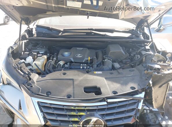 JTJDARDZ0M2258649 2021 LEXUS NX 300 Серебряный Вид сзади