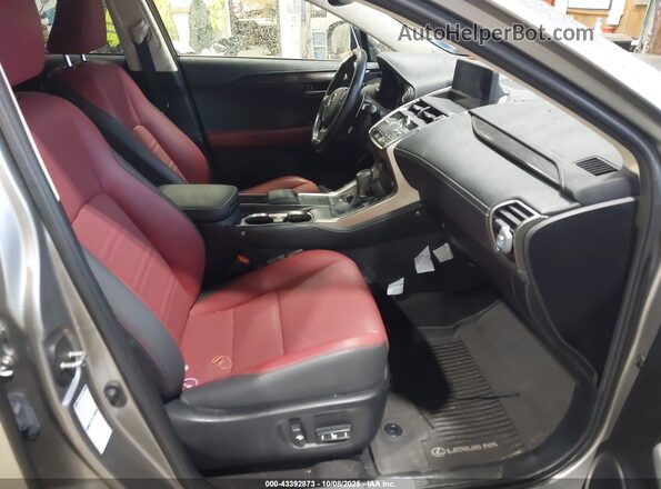 JTJDARDZ0M5031945 2021 LEXUS NX 300 Gray Սալոնի դիմացի տեսք
