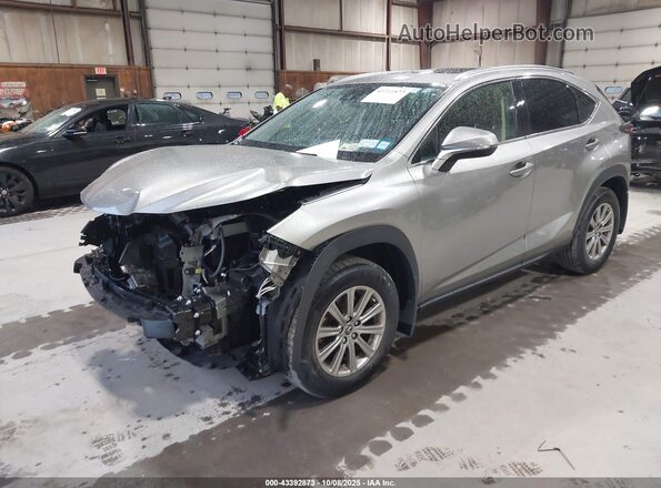 JTJDARDZ0M5031945 2021 LEXUS NX 300 Gray Առջևի ձախ երեք քառորդ տեսարան