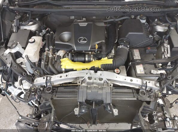JTJDARDZ0M5031945 2021 LEXUS NX 300 Gray Հետևի տեսք