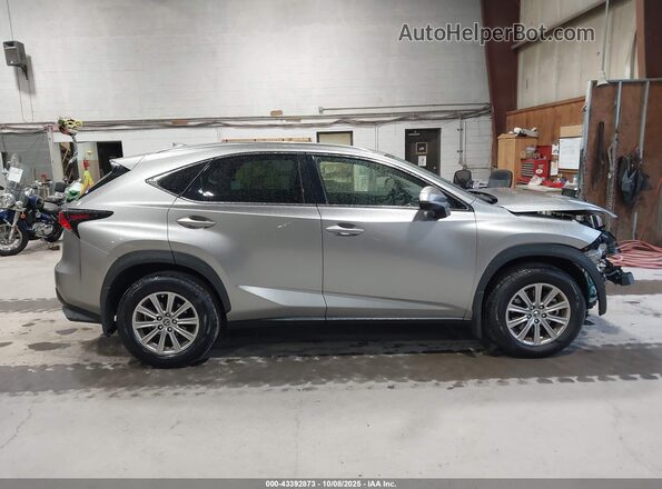 JTJDARDZ0M5031945 2021 LEXUS NX 300 Gray Սալոնի հետևի տեսք