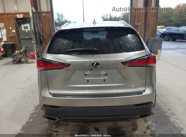 JTJDARDZ0M5031945 2021 LEXUS NX 300 Gray 