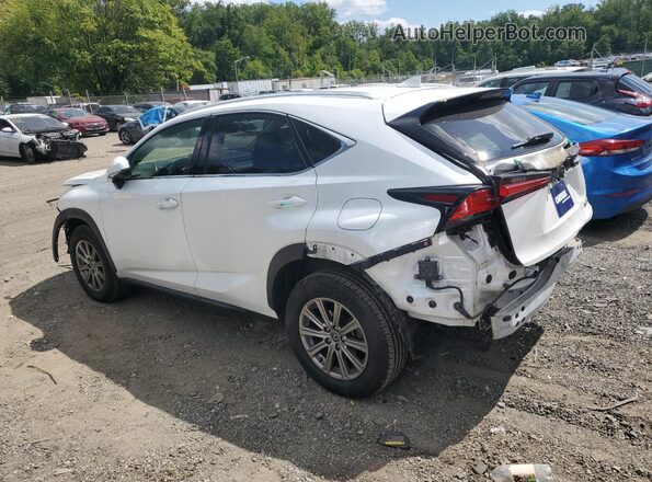 JTJDARDZ3M5029123 2021 LEXUS NX White 