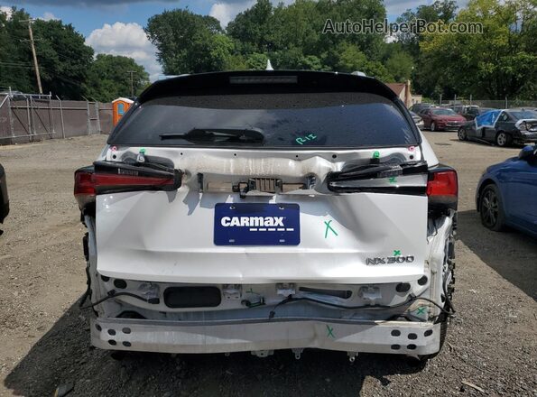 JTJDARDZ3M5029123 2021 LEXUS NX White 