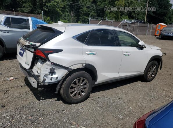JTJDARDZ3M5029123 2021 LEXUS NX White 