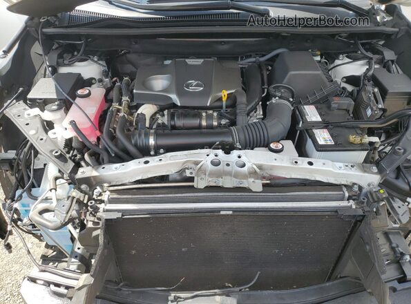 JTJDARDZ3M5029123 2021 LEXUS NX White 