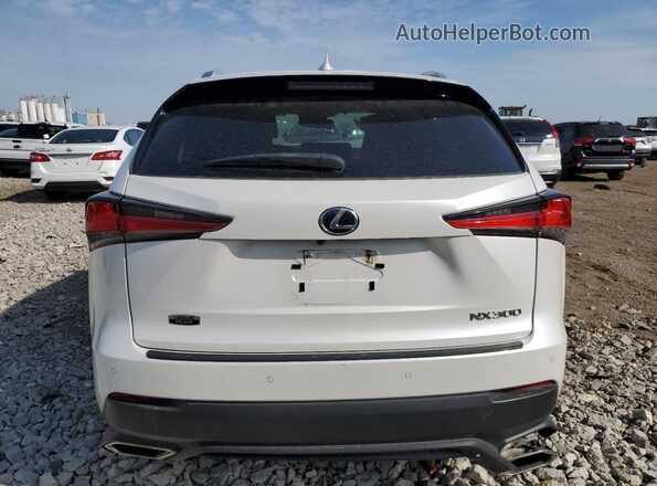 JTJDARDZ4L2235650 2020 LEXUS NX White Widok z tyłu