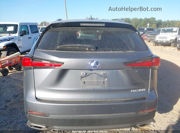 JTJDARDZ6M2261748 2021 LEXUS NX 300 Серый 