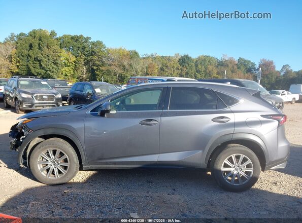 JTJDARDZ6M2261748 2021 LEXUS NX 300 Серый Панорамный вид салона 360°