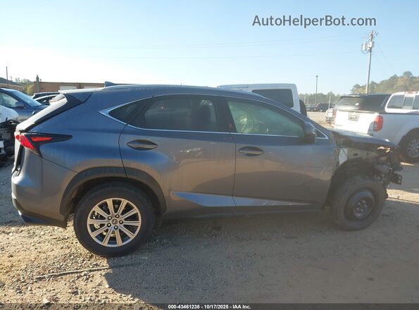 JTJDARDZ6M2261748 2021 LEXUS NX 300 Серый Вид задней части салона