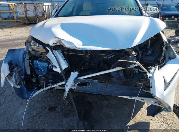 JTJDARDZ6M5021033 2021 LEXUS NX 300 White 