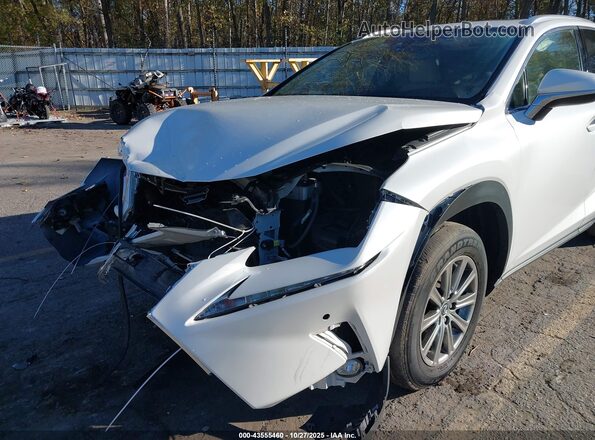 JTJDARDZ6M5021033 2021 LEXUS NX 300 White Widok z przodu