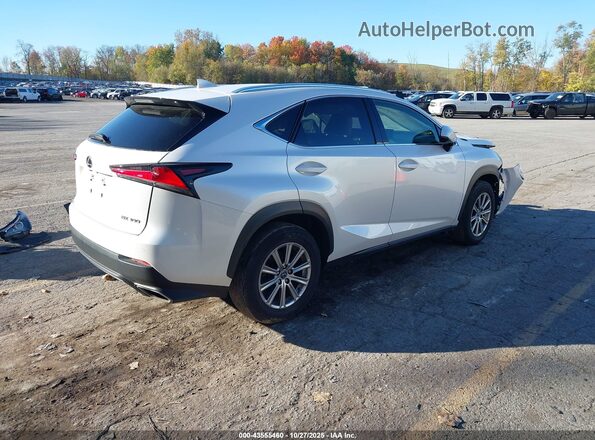 JTJDARDZ6M5021033 2021 LEXUS NX 300 White Tył prawy