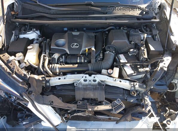 JTJDARDZ6M5021033 2021 LEXUS NX 300 White Widok z tyłu