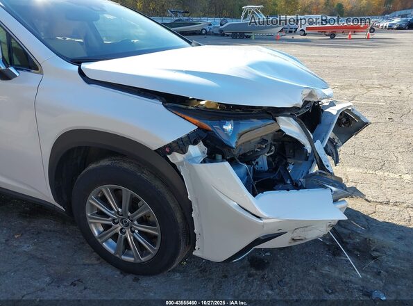 JTJDARDZ6M5021033 2021 LEXUS NX 300 White 