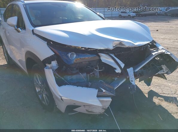 JTJDARDZ6M5021033 2021 LEXUS NX 300 White 