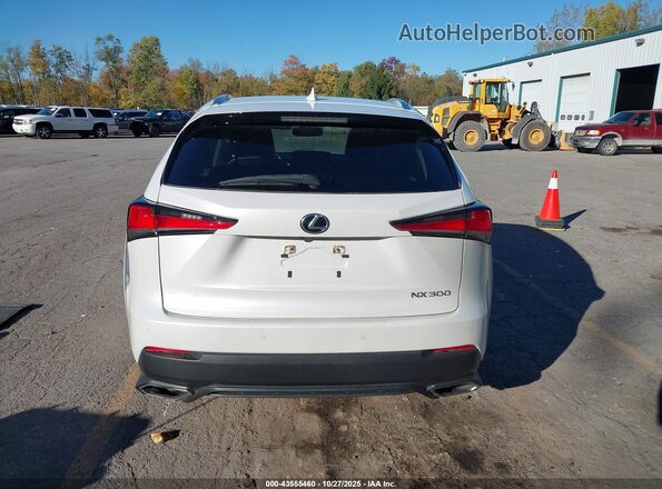 JTJDARDZ6M5021033 2021 LEXUS NX 300 White 
