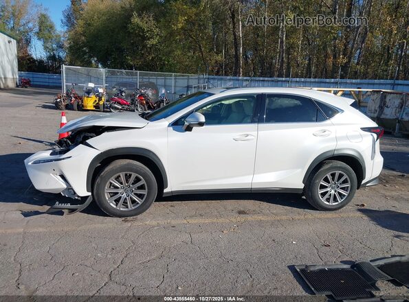 JTJDARDZ6M5021033 2021 LEXUS NX 300 White Widok wnętrza z tyłu