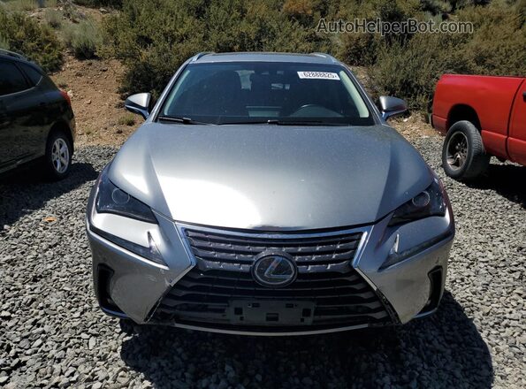 JTJDARDZ7M2246515 2021 LEXUS NX Gray Դիմացի տեսք
