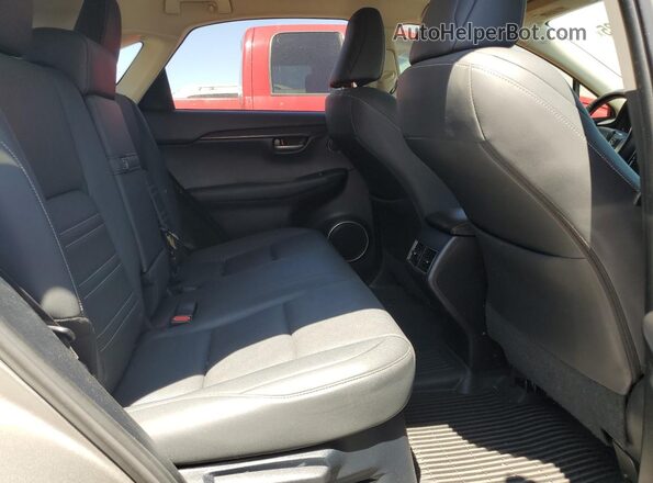 JTJDARDZ7M2246515 2021 LEXUS NX Gray Սալոնի հետևի տեսք