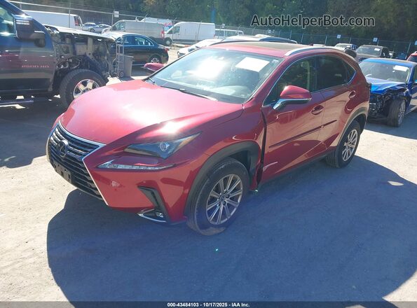 JTJDARDZ7M5028296 2021 LEXUS NX 300 Red Vista tres cuartos delantera izquierda