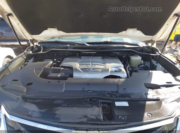 JTJDY7AX8M4333279 2021 LEXUS LX 570 White Հետևի տեսք