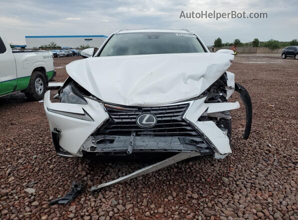 JTJGARBZ0M5031962 2021 LEXUS NX White Vista frontal
