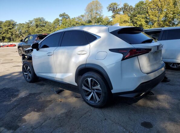 JTJGARBZ1L5013453 2020 LEXUS NX White Rear left