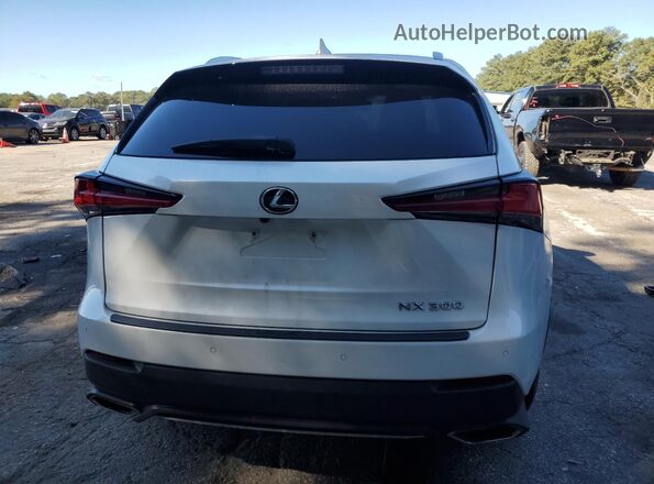 JTJGARBZ1L5013453 2020 LEXUS NX White Rear view