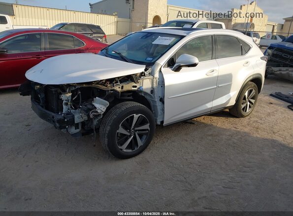 JTJGARBZ1L5019558 2020 LEXUS NX 300 White Vista tres cuartos delantera izquierda