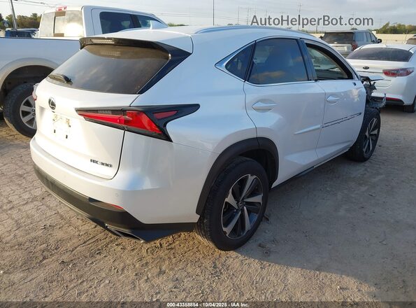 JTJGARBZ1L5019558 2020 LEXUS NX 300 White Trasero derecho