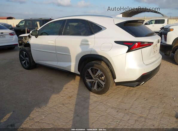 JTJGARBZ1L5019558 2020 LEXUS NX 300 White Trasero izquierdo