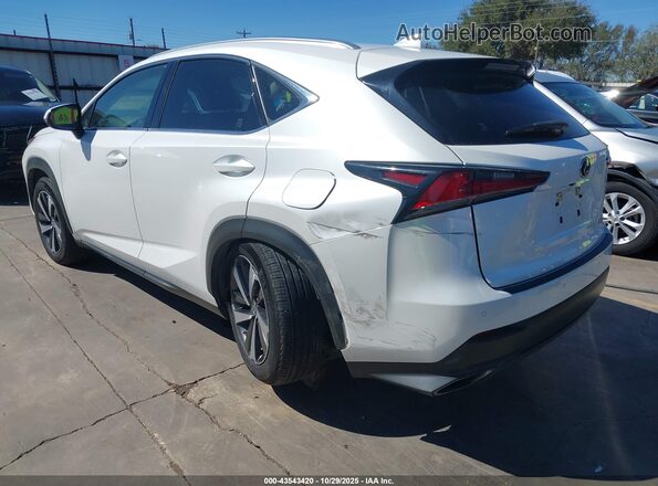 JTJGARBZ2L5013672 2020 LEXUS NX 300 White Trasero izquierdo