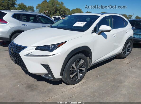JTJGARBZ2L5013672 2020 LEXUS NX 300 White Vista tres cuartos delantera izquierda