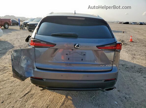 JTJGARBZ5L2162921 2020 LEXUS NX Gray Հետևի տեսք