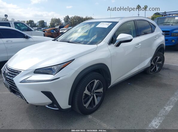 JTJGARBZ7M5032431 2021 LEXUS NX 300 Champagne Przód lewy