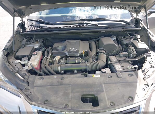 JTJGARBZXM2180431 2021 LEXUS NX 300 Gray Հետևի տեսք