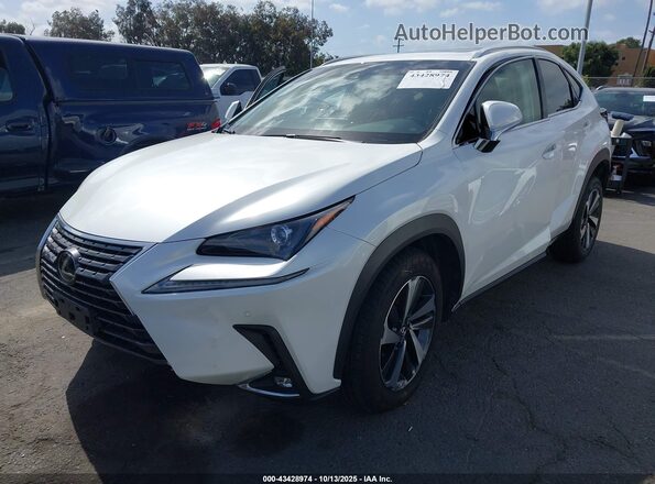 JTJGARBZXM5027837 2021 LEXUS NX 300 White 