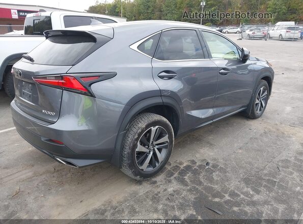 JTJGARDZ1L5017130 2020 LEXUS NX 300 Gray Trasero derecho