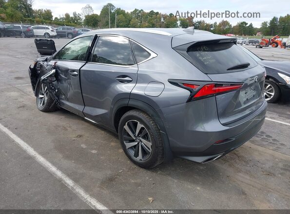 JTJGARDZ1L5017130 2020 LEXUS NX 300 Gray Trasero izquierdo