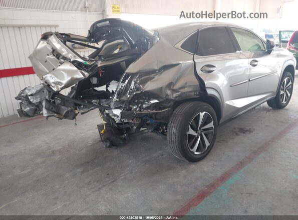 JTJGARDZ2M5031216 2021 LEXUS NX 300 Champagne უკანა მარჯვენა