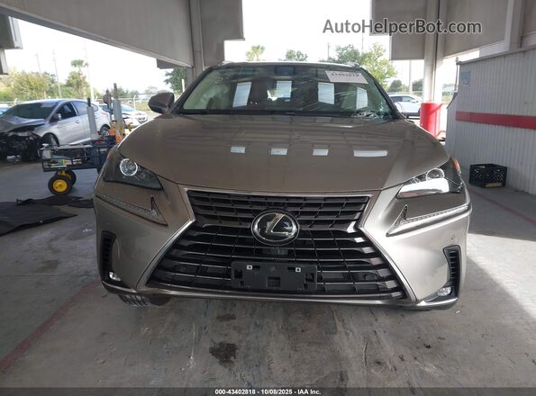 JTJGARDZ2M5031216 2021 LEXUS NX 300 Champagne უკანა სალონის ხედი