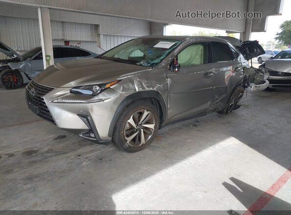 JTJGARDZ2M5031216 2021 LEXUS NX 300 Champagne წინა მარცხენა ხედი სამი მეოთხედიდან