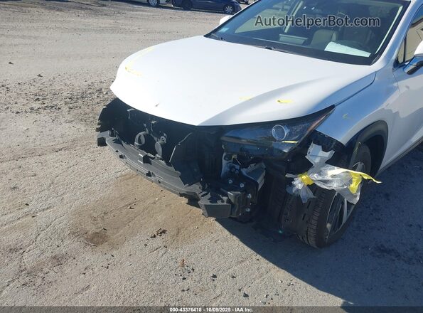 JTJGARDZ3L2217928 2020 LEXUS NX 300 White 