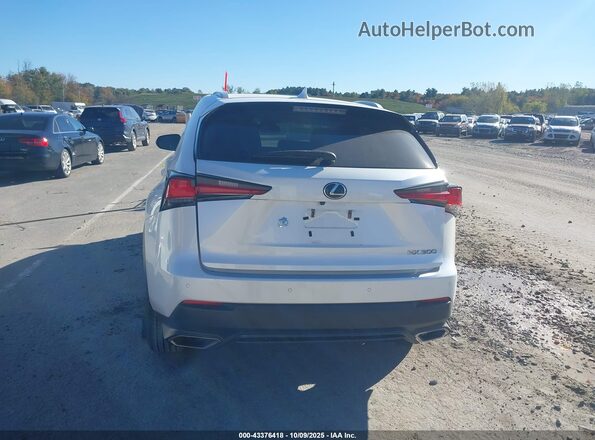 JTJGARDZ3L2217928 2020 LEXUS NX 300 White 