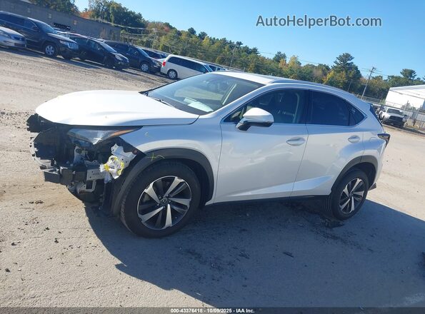 JTJGARDZ3L2217928 2020 LEXUS NX 300 White 
