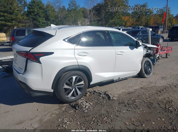 JTJGARDZ3L2217928 2020 LEXUS NX 300 White 