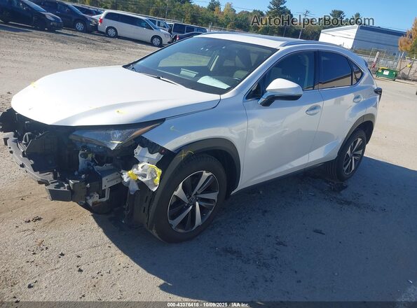 JTJGARDZ3L2217928 2020 LEXUS NX 300 White 