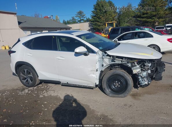 JTJGARDZ3L2217928 2020 LEXUS NX 300 White 