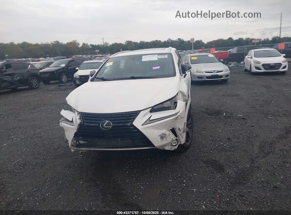 JTJGARDZ3L2227214 2020 LEXUS NX 300 Белый 